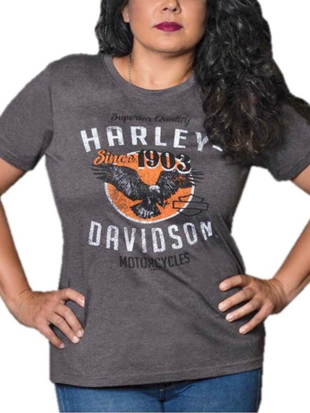 HARLEY-DAVIDSON Distressed Eagle Low Crew Neck Short Sleeve Tee - Nine Iron Grey